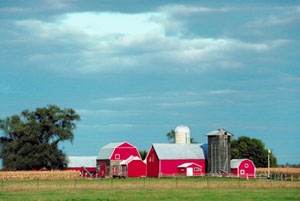 Farm
